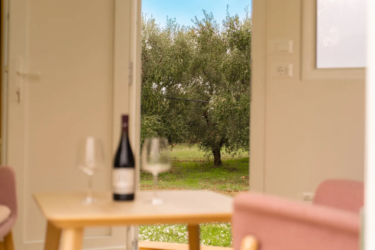 Interno con poltrona rosa, tavolo e vista sugli ulivi